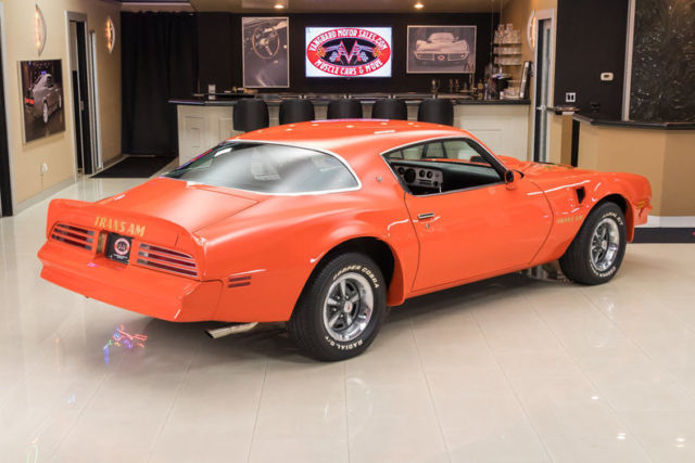 1976 Pontiac Firebird Trans Am - photo 13