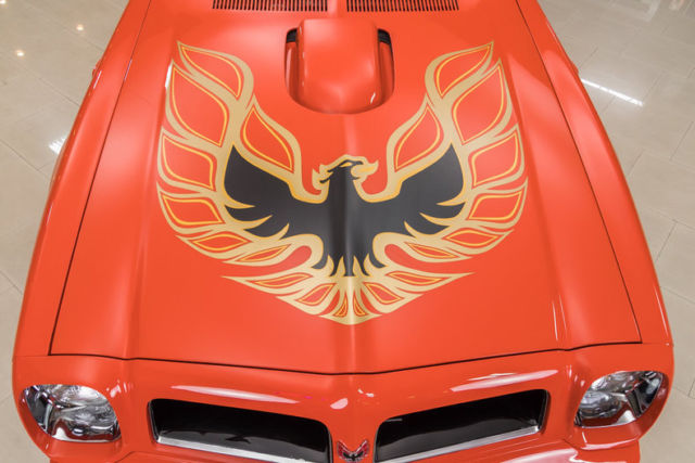 1976 Pontiac Firebird Trans Am - photo 8