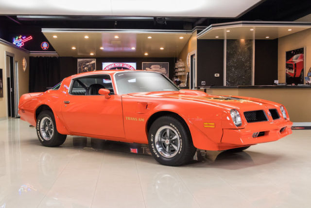 1976 Pontiac Firebird Trans Am - photo 9