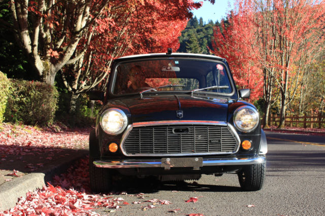 1990 Mini Classic Mini - photo 9