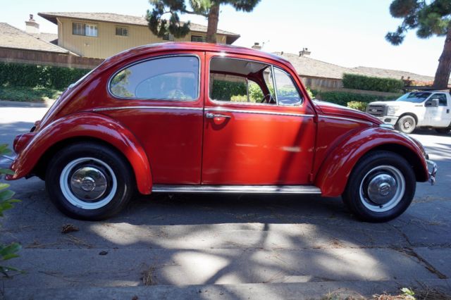 1966 Volkswagen Beetle - Classic Standard - photo 12
