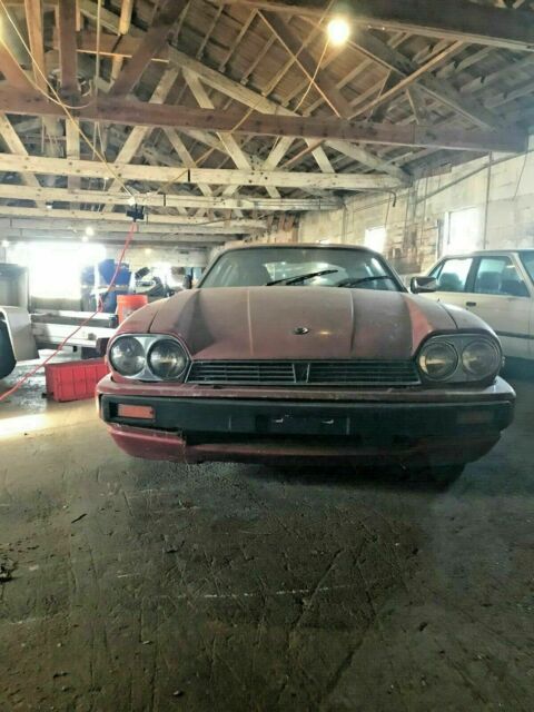1985 Jaguar XJS - photo 4
