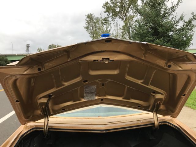 1977 Pontiac Grand Prix LJ - photo 13
