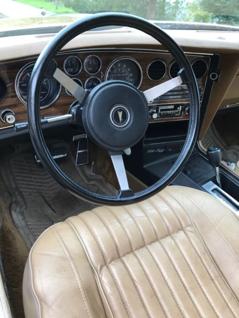 1977 Pontiac Grand Prix LJ - photo 8