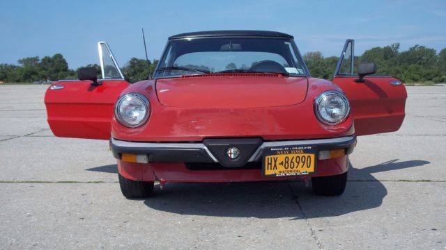 1986 Alfa Romeo Spider Graduate - photo 4