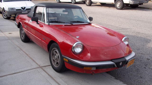 1986 Alfa Romeo Spider Graduate - photo 6