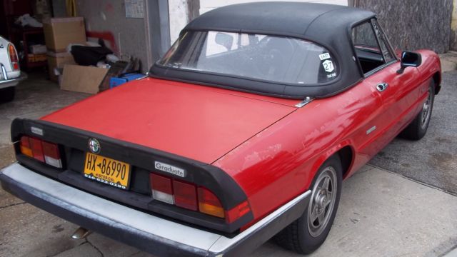 1986 Alfa Romeo Spider Graduate - photo 8