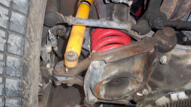 1986 Alfa Romeo Spider Graduate - photo 9
