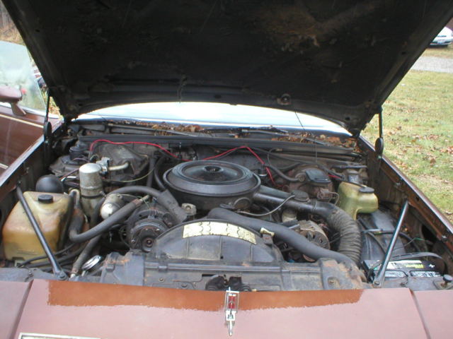 1979 Oldsmobile Cutlass Supreme - photo 2