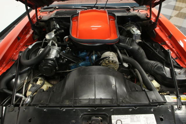 1979 Pontiac Firebird Trans Am - photo 3