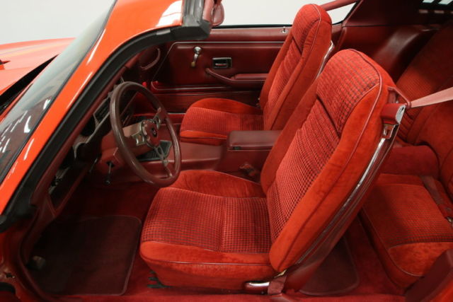 1979 Pontiac Firebird Trans Am - photo 4