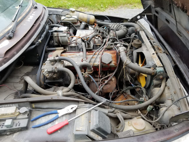 1979 Saab 99 - photo 5