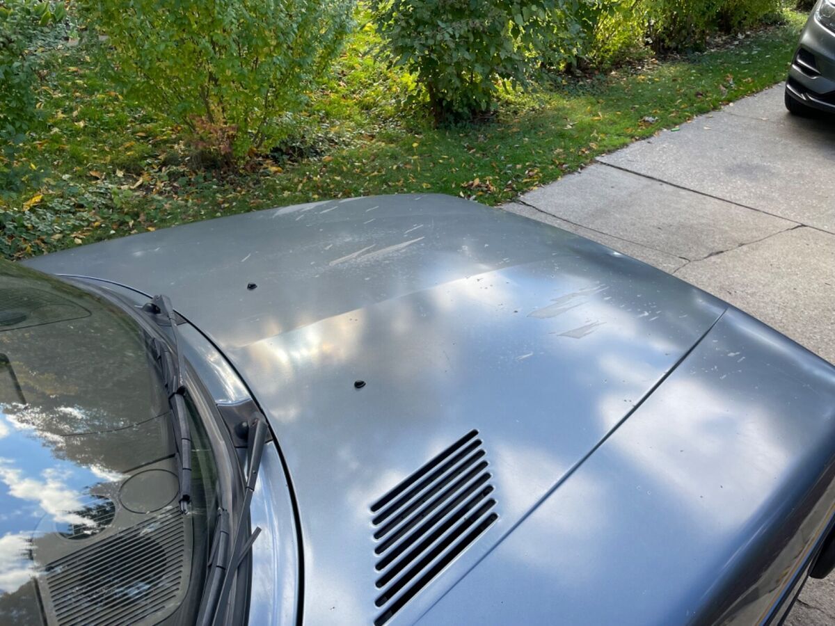 1983 Saab 900 - photo 9