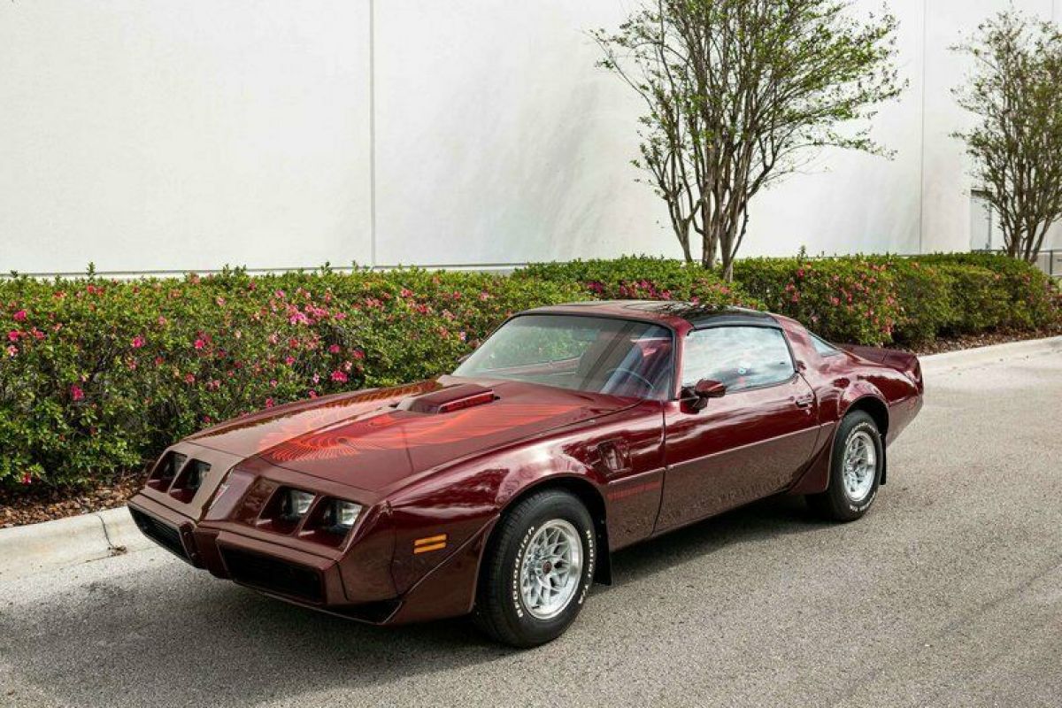 1981 Pontiac Trans Am - photo 5