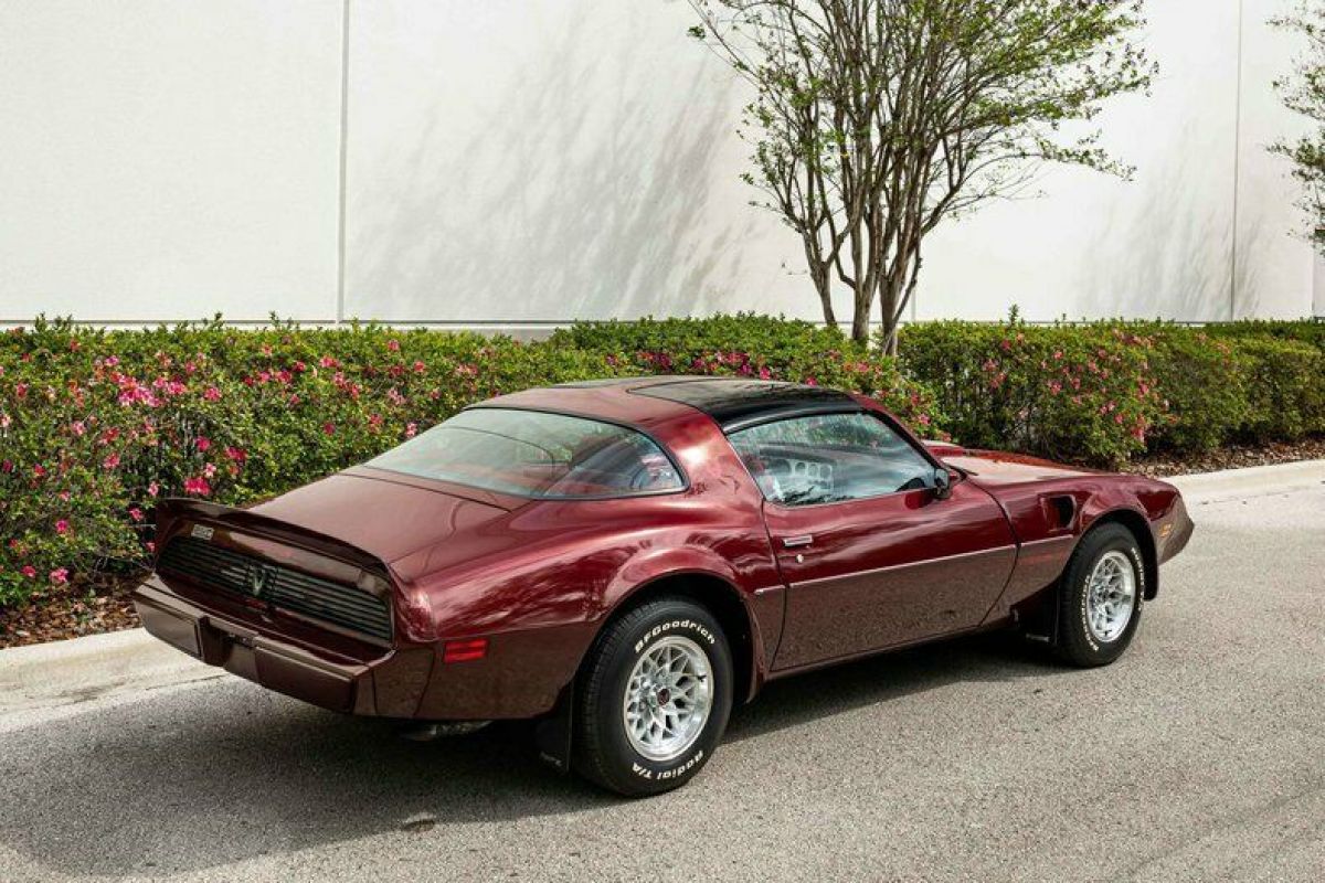 1981 Pontiac Trans Am - photo 6