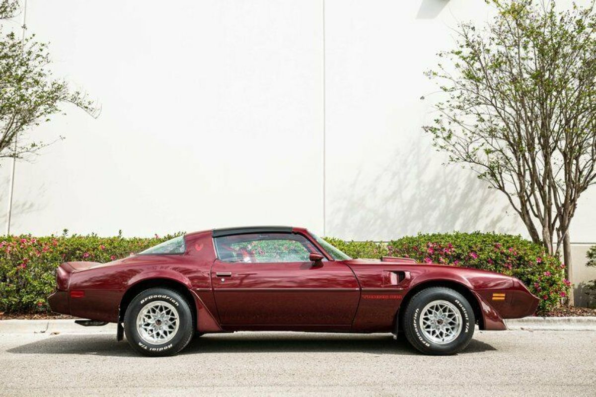 1981 Pontiac Trans Am - photo 8