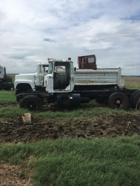 1982 Toyota Tacoma - photo 2