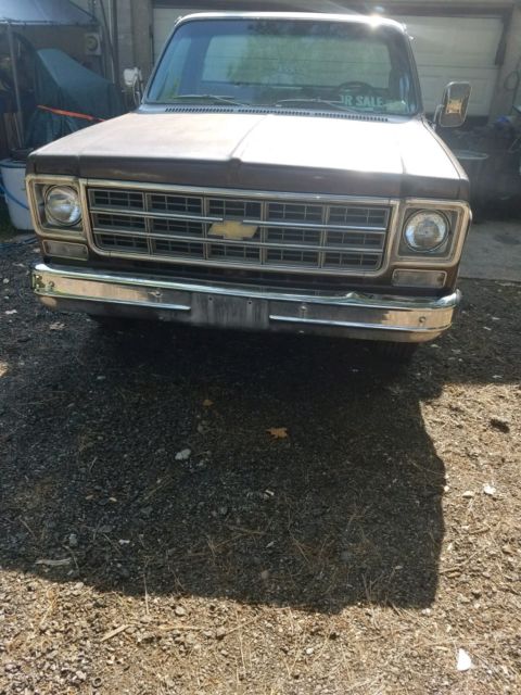 1978 Chevrolet C-10 Bonanza - photo 5