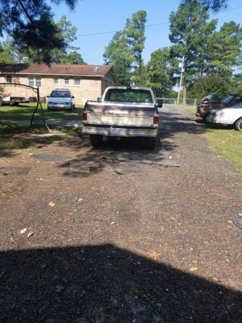 1978 Chevrolet C-10 Bonanza - photo 7