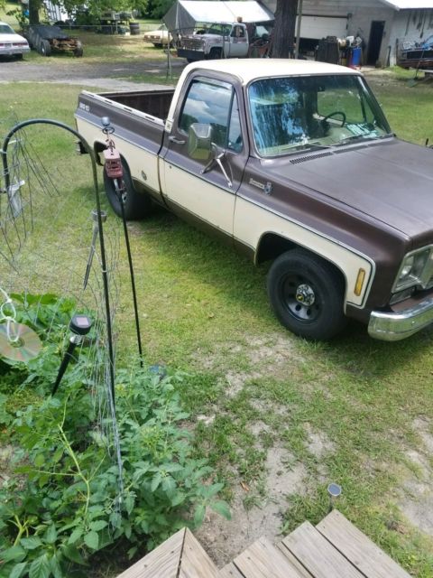 1978 Chevrolet C-10 Bonanza - photo 8