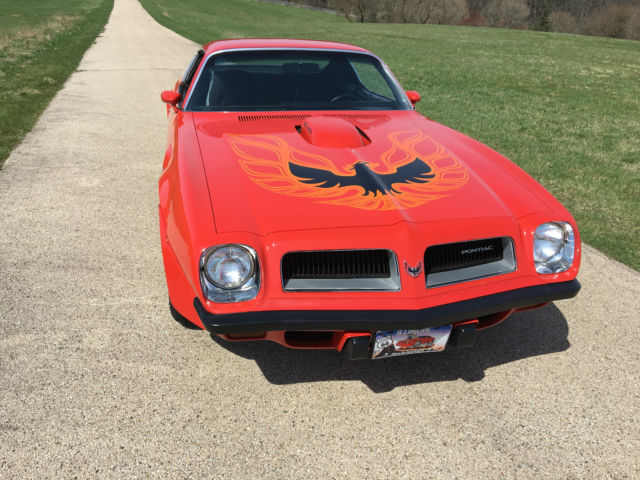 1974 Pontiac Trans Am - photo 13