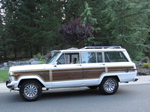 1990 Jeep Wagoneer No resever jeep - photo 4