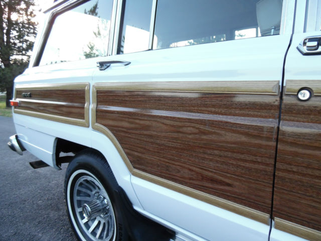 1991 Jeep Wagoneer 86 87 88 89 90 91 JEEP WAGONEER FINAL EDITION AMC - photo 9