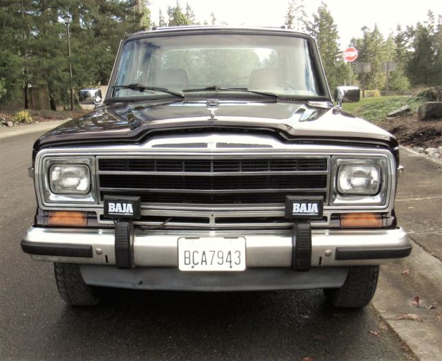 1991 Jeep Wagoneer GRAND WAGONEER - photo 7