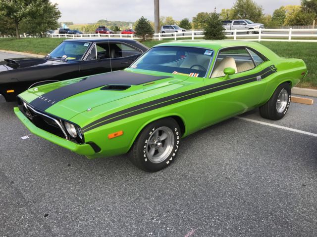 Sharp Sassy Grass 340 Rallye Challenger 1973 Dodge Challenger Rallye