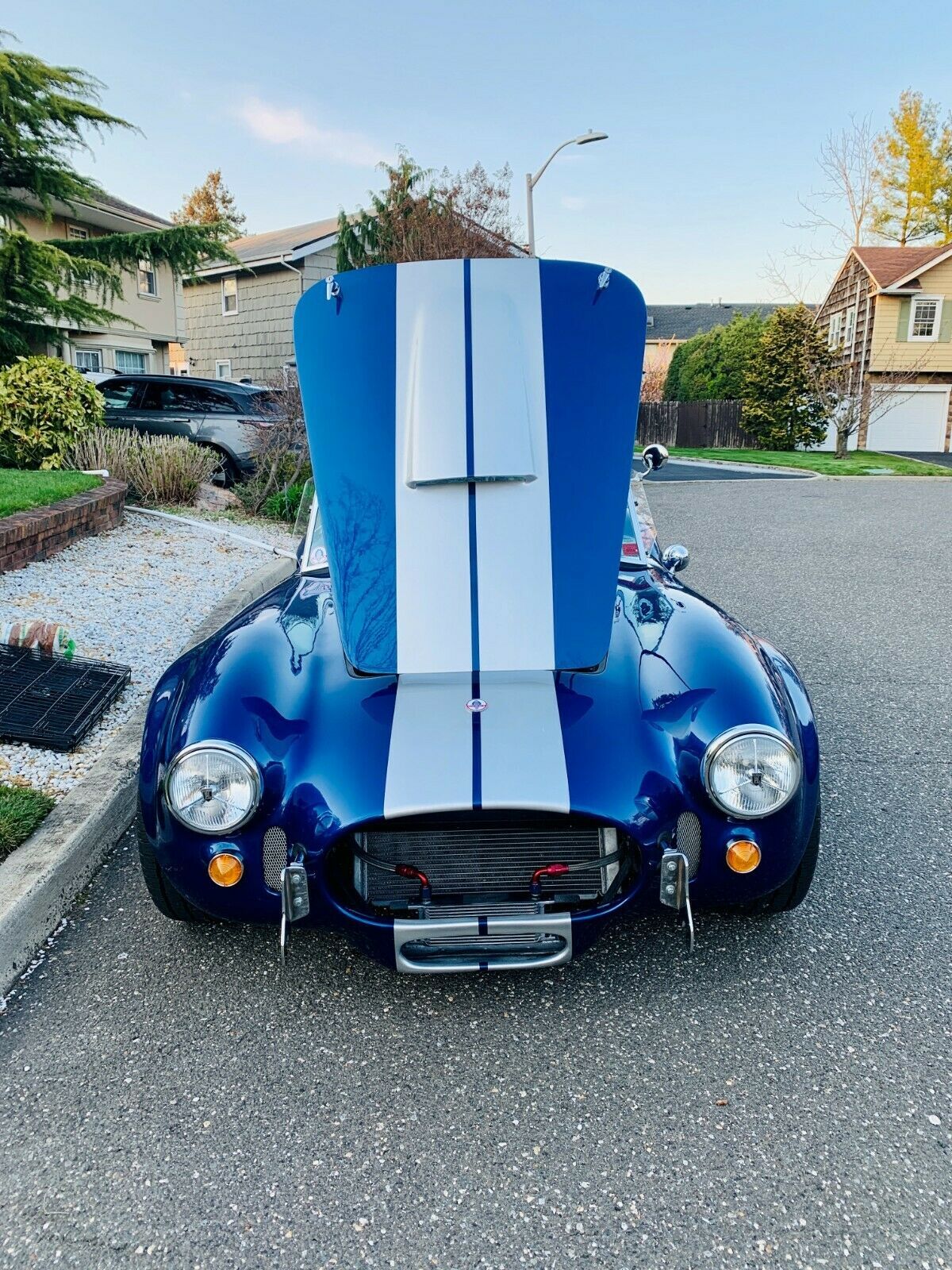 Shelby Cobra 1966 Beautiful Replica Signed by Carol Shelby - NOT A KIT CAR!! 1966 Shelby Cobra