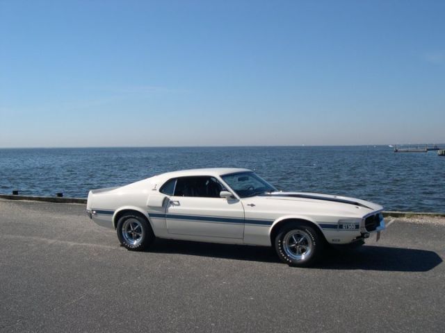 SHELBY COBRA GT500 1970 Shelby GT500