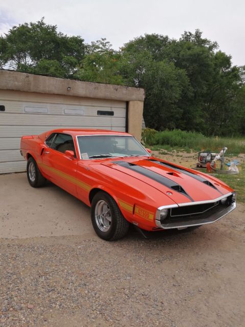 Shelby GT500 Fastback 1970 Ford Mustang