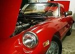 1981 Alfa Romeo Spider VELOCE