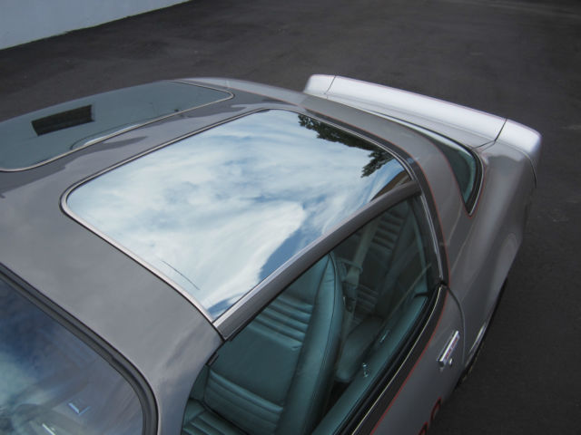 1979 Pontiac Trans Am 4 SPEED SILVER ANNIVERSARY - photo 8
