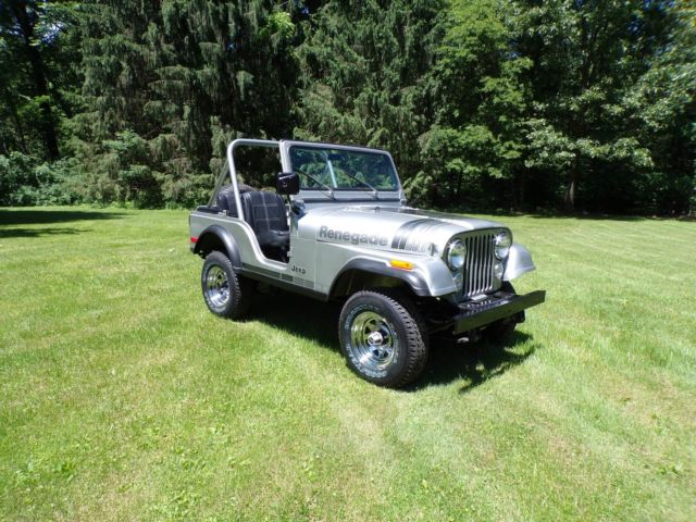 1979 Jeep CJ Silver Anniversary - photo 2
