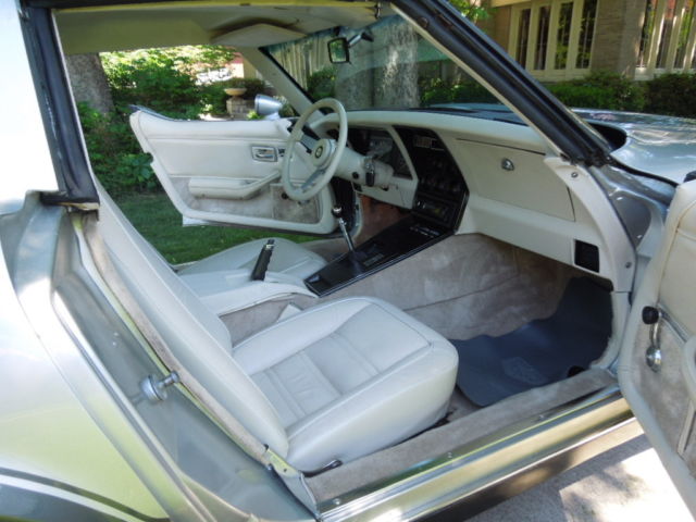 1978 Chevrolet Corvette Silver Anniversary - photo 10