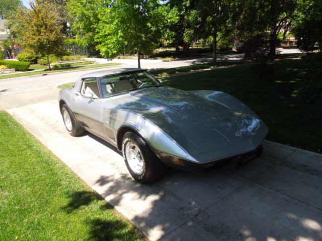 1978 Chevrolet Corvette Silver Anniversary - photo 2