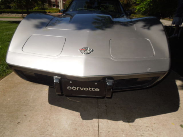 1978 Chevrolet Corvette Silver Anniversary - photo 7