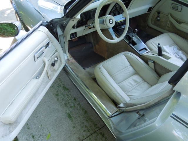 1978 Chevrolet Corvette Silver Anniversary - photo 8
