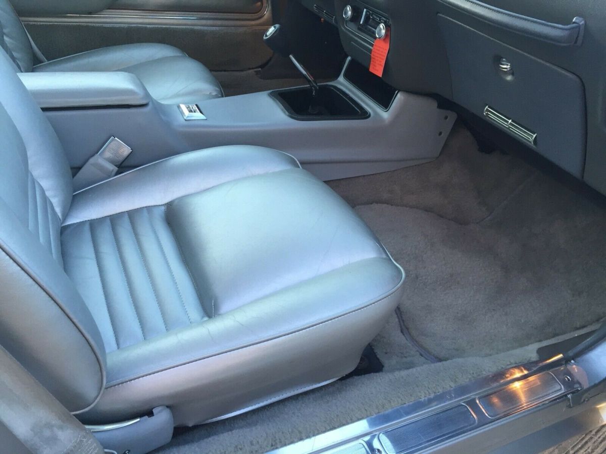 1979 Pontiac Trans Am Silver Anniversary - photo 10