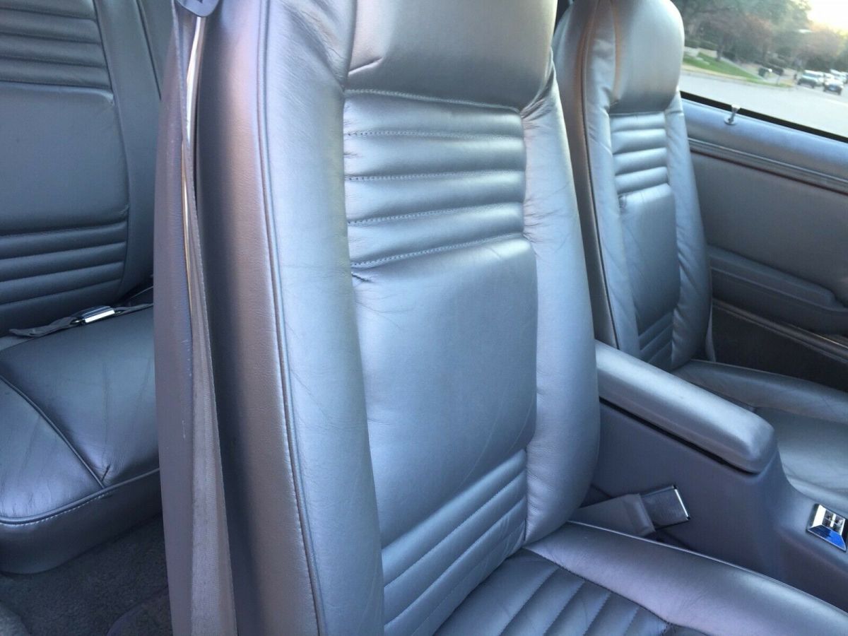 1979 Pontiac Trans Am Silver Anniversary - photo 11