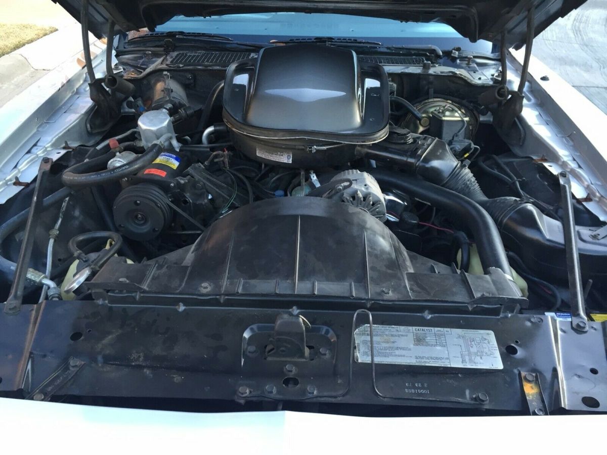 1979 Pontiac Trans Am Silver Anniversary - photo 9