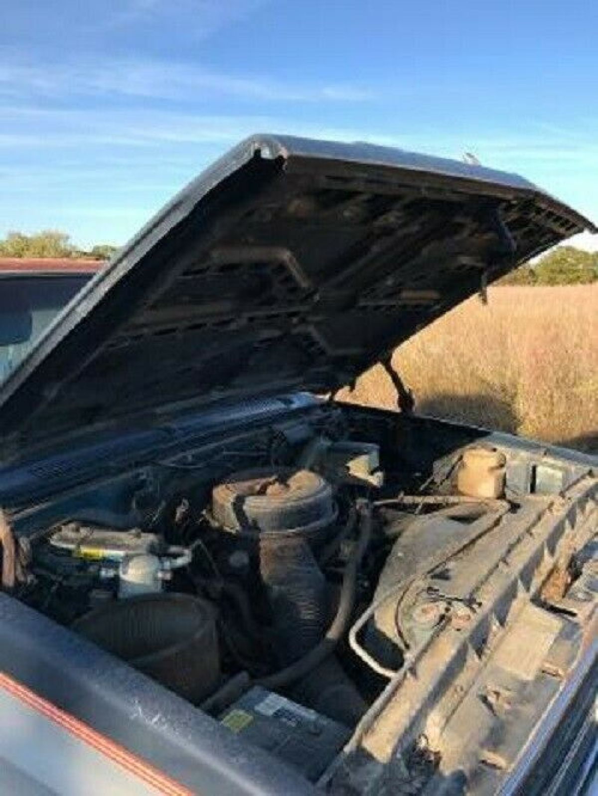1984 Chevrolet C10 - photo 6