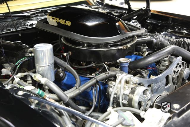 1979 Pontiac Firebird Trans Am - photo 10