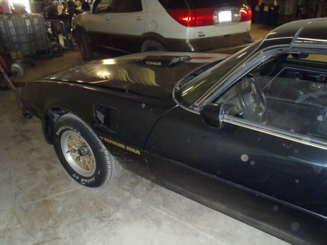 1979 Pontiac Trans Am - photo 7