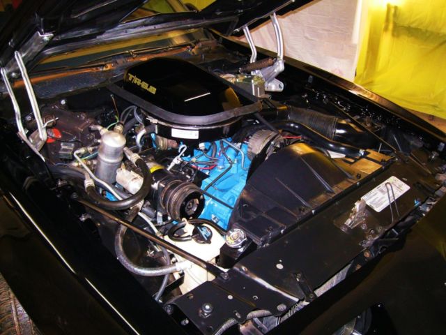 1979 Pontiac Trans Am - photo 13
