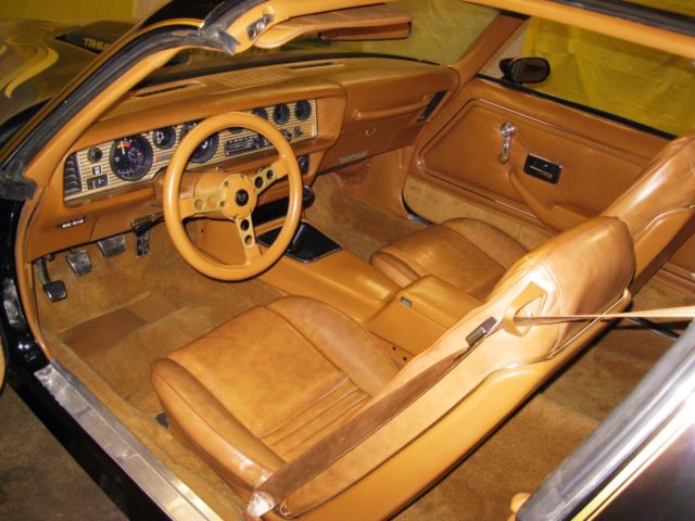 1979 Pontiac Trans Am - photo 8