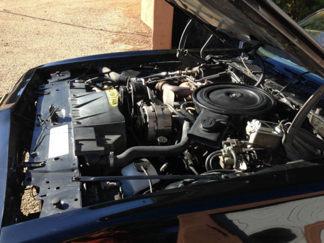 1980 Pontiac Trans Am Special Edition Y84 - photo 11