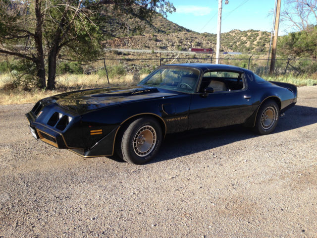 1980 Pontiac Trans Am Special Edition Y84 - photo 4