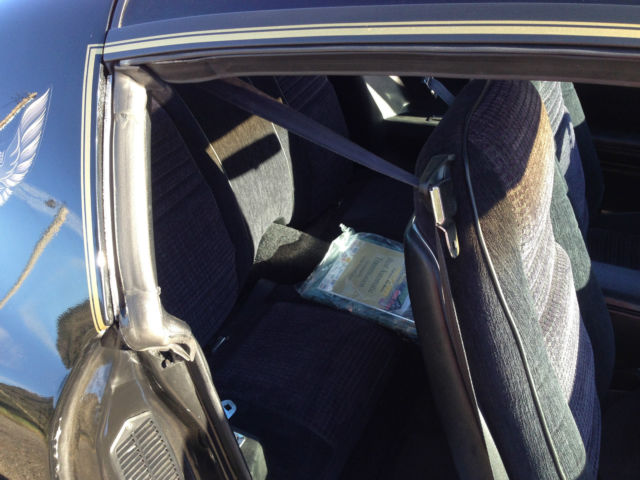1980 Pontiac Trans Am Special Edition Y84 - photo 8